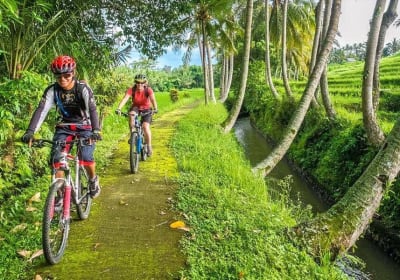 Kintamani Downhill Cycling Tour 2