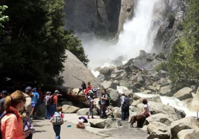 Yosemite & Giant Sequoias Day Trip 2