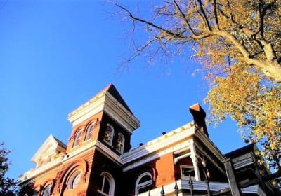 Memphis Discovery Tour: History, Food & Sights 2