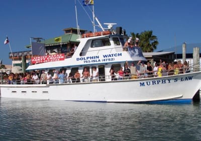 South Padre Island Dolphin Watch Eco Tour 2