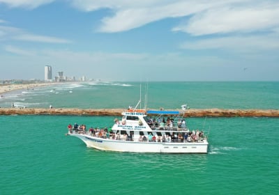 Sunset Dolphin Watch Tour 2