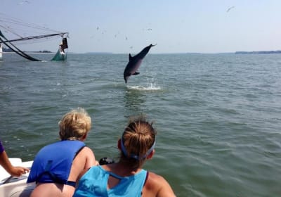 Hilton Head Dolphin Nature Tour 2