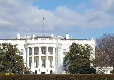 Washington DC Full-Day Tour with Cherry Blossoms and Boat Ride 2