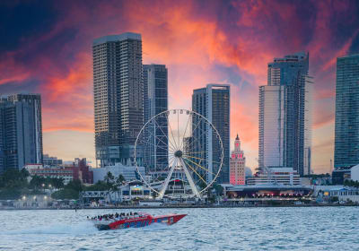 Miami Speedboat Sightseeing Tour 2