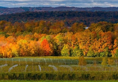 Traverse City Sunset Wine Tour 2