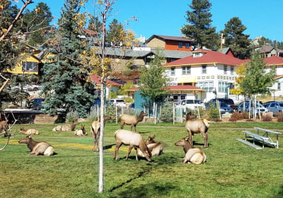 Rocky Mountain National Park Summer Tour 2