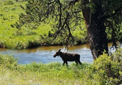 Rocky Mountain National Park Tour 2