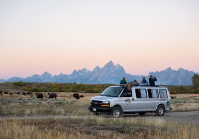Sunset Grand Teton Wildlife Adventure 2