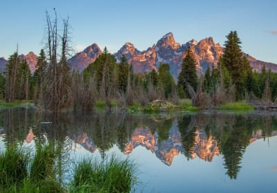 Grand Teton Sunrise Wildlife Tour 2