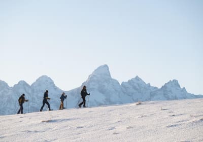 Grand Teton Snowshoe & Wildlife Tour 2