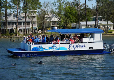 Orange Beach Dolphin Eco Tour 2