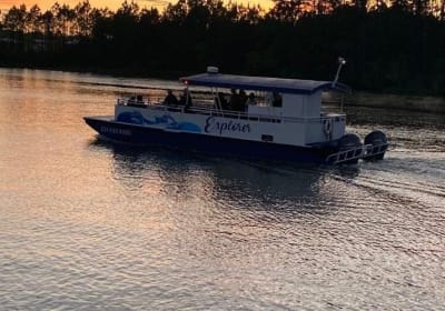 Dolphin and Nature Sunset Cruise from Orange Beach 2
