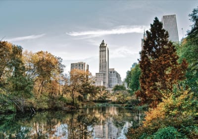 Central Park New York Guided Walking Tour Semi-Private 12ppl Max 2