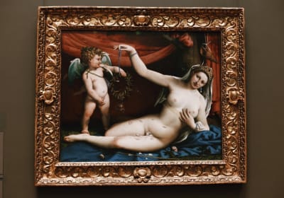 The Met Museum & Central Park Guided Tour Semi-Private 8ppl Max 2