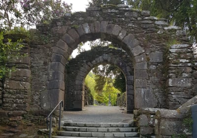 Glendalough Powercourt Waterfall Guinness Lake Sightseeing Tour 2