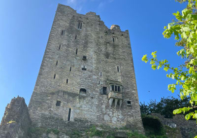 Blarney Castle and Cork Guided Private Tour in modern AC Minibus 2