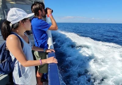  From Galway; Aran Islands Day Tour & Cliffs of Moher cruise 2