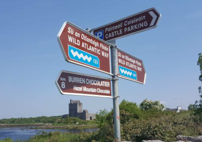 Private Tour: Stunning Cliffs of Moher and the Burren from Cork 2
