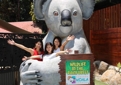 Kuranda Koala Gardens & Birdworld Tickets 2