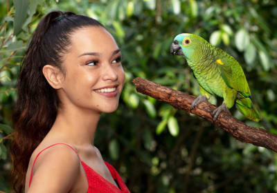 Kuranda Wildlife Experience Pass 2