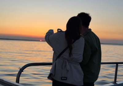 Sundown Cruise Around the Island of Ireland's Eye from Howth  2