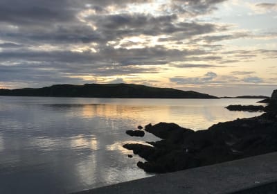 Bioluminescent Swim Experience in West Cork with Storytelling 2