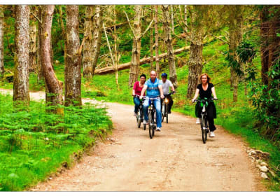 Private day eBiking experience from Westport with lunch. Mayo. 2