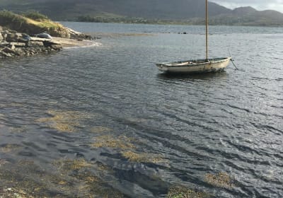 Private Tour of Beara Peninsula  2