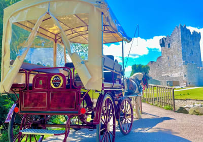 Killarney Jaunting Car Tour 2