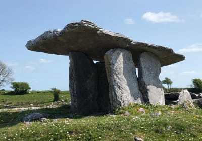 Cliffs of Moher Private Tour from Killarney 2