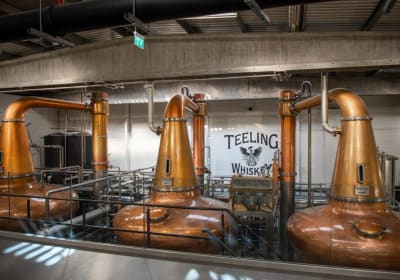 Dublin Teeling Whiskey Distillery Guided Tour and Tasting 1 Hour 2