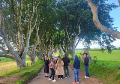 Belfast & Giants Causeway Luxury Mercedes Private Tour for 6 pax 2