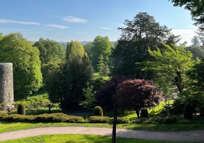 Ultimate Private Guided Minibus tour Blarney,Cork City,Kinsale. 2