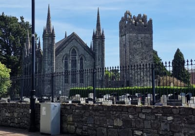 Dublin Guided Walking Tour of Tallaght  2