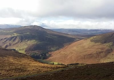 Wicklow tour of Glendalough 2