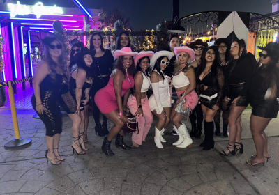 Hop on Hop off Party Bus Houston 2