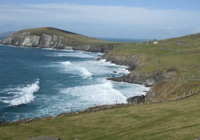 Dingle Peninsula and Slea Head Day Tour 2