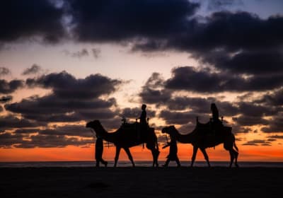 Sunset Beach Camel Ride with Mexican Buffet and Tequila Tasting 2