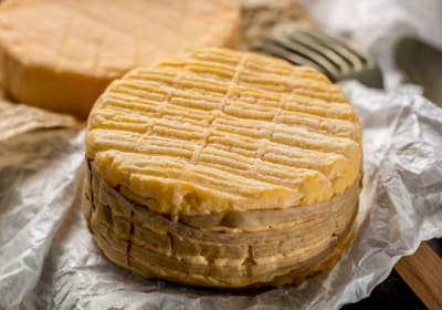 Close-up of an Alsatian cheese wheel on wax paper ready to be sliced for tasting