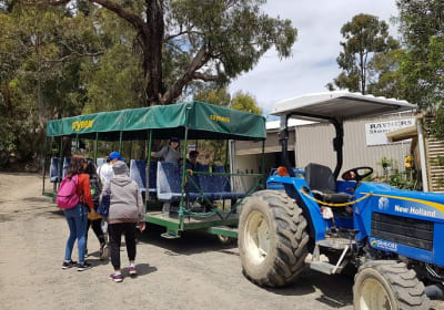 Small-Group Rayners Orchard Tractor Tour 2