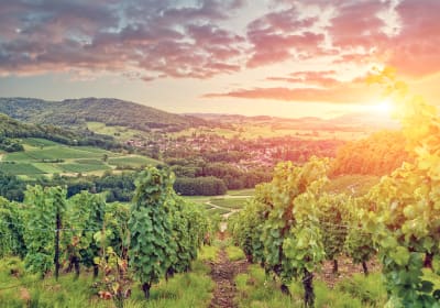 Sun setting over rolling vineyards and a village in the valley