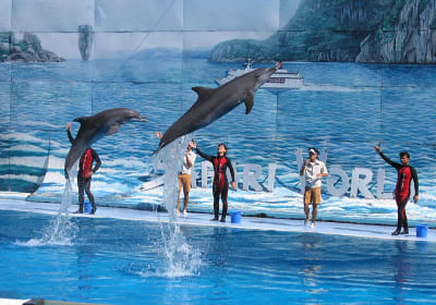 Safari World - Marine Park Admission Ticket Bangkok 2