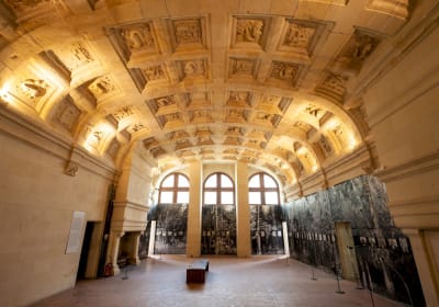 Chenonceau & Chambord Castles Private Day Tour from Tours 2
