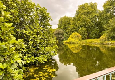 Kensington Gardens and Kensington Palace Tour 2
