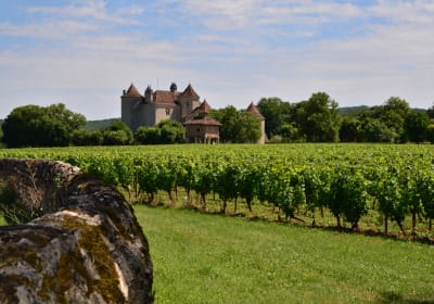 Cahors vineyards stretching towards a historic château in the scenic Lot Valley