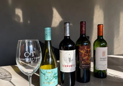 Tour de vinos premium Viña Concha y Toro desde Santiago 2