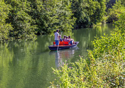 Visitors enjoying a traditional flat-bottomed boat ride on a tree-lined canal in the Marais Poitevin.