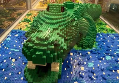 Bologna: Brick Model Exhibition and 3D Trick Gallery 2