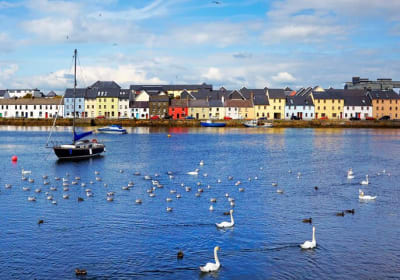 Galway Walking Tour & Claddagh Village Experience 2