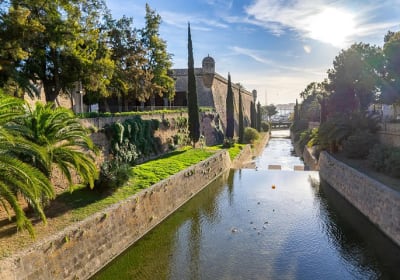Palma Cathedral & Old Town Walking Tour 2